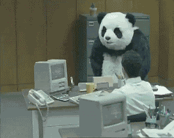 Angry panda breaking keyboard