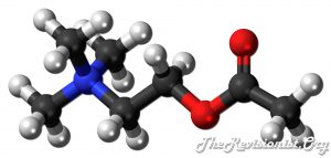 acetylcholine 3D chemical model