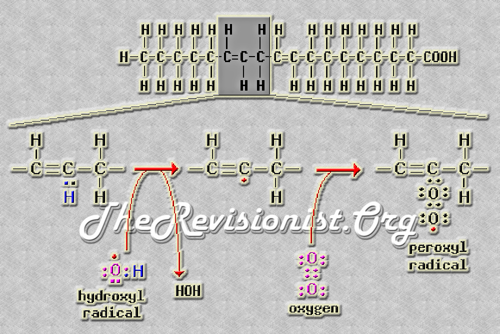 Diagram depicting lipid peroxidation