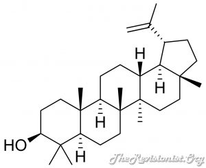 Diagram showing Chemical Structure of Lupeol